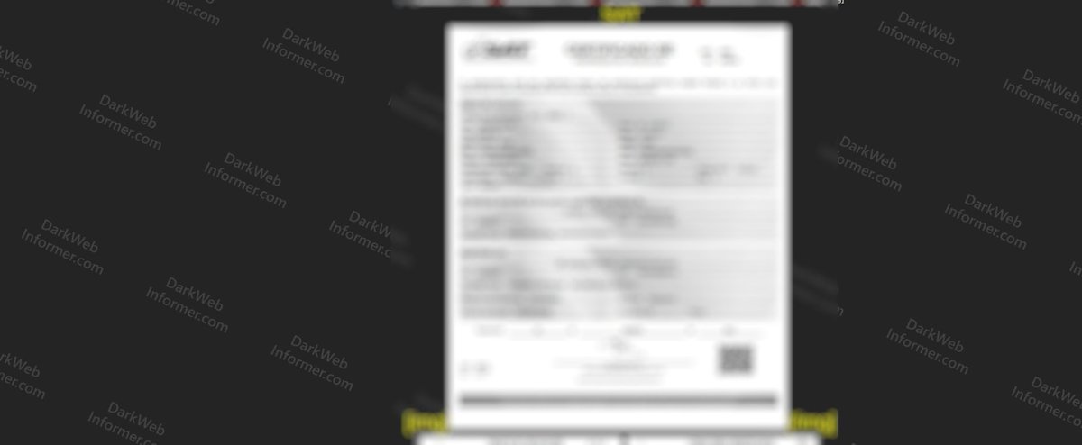 Dark Web Informer tweet media