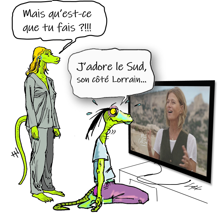Le_Niark's tweet photo. @FranceTV Mais samedi en prime time on préférait #MonCôtéSud !
Pour fidéliser, vous auriez pu diffuser tous les épisodes !
C’est dommage : l’audience était là et montait !
Svp #FranceTV, peut-on voir @CaroleGaessler un peu + que les 2 mn d’intro des R&amp;A ?
qu’on puisse l’aimer tranquilles ! https://t.co/kSOhvYYB5u