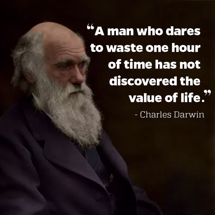 Words of Wise | Mindset Coach tweet media
