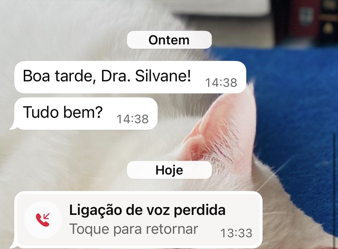 Sil tweet media