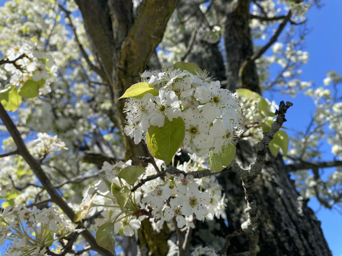 minnow⁷ tweet media