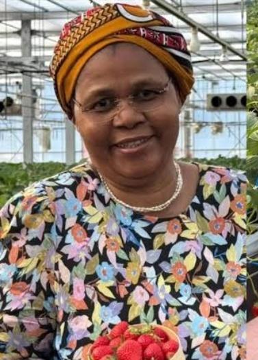 GLAM DLOZI'S CLUTTERED KITCHEN tweet media