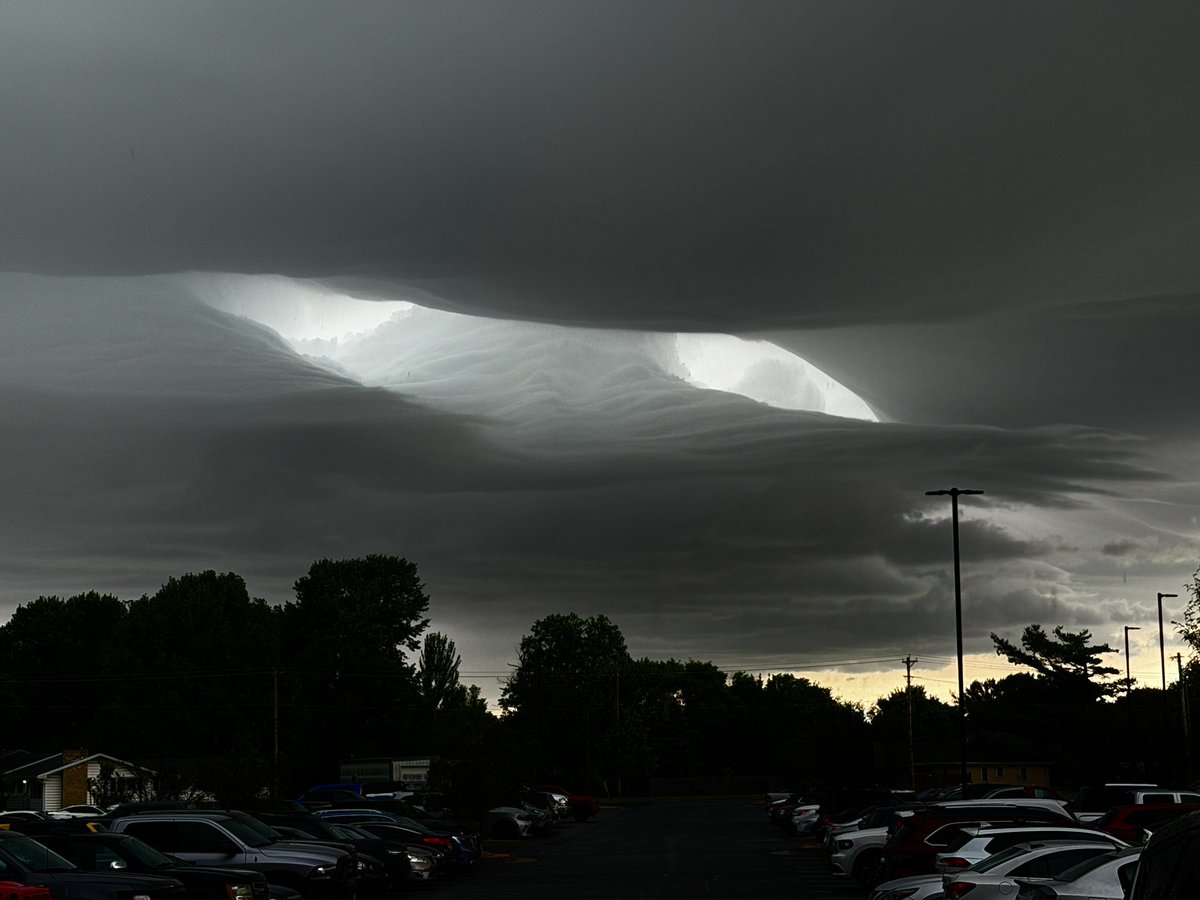 Lincoln Hauser tweet media