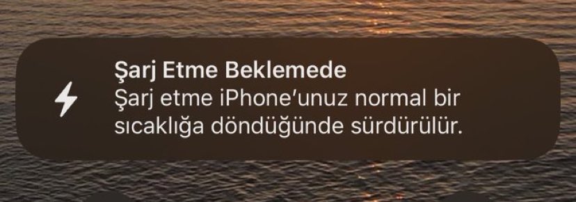Regl Halleri ✪ tweet media
