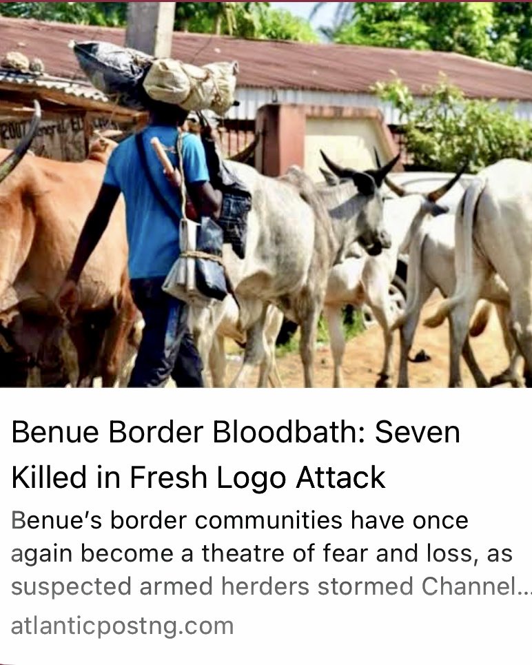 atlanticpostng's tweet photo. Benue is bleeding again. Seven lives gone in Logo, families in panic, and the border routes still look helplessly open. How many more villages must fall before action becomes real?
Discover the full story in the comments👇
#BenueAttack #NationalSecurity #Terrorism https://t.co/0t432XyFhe