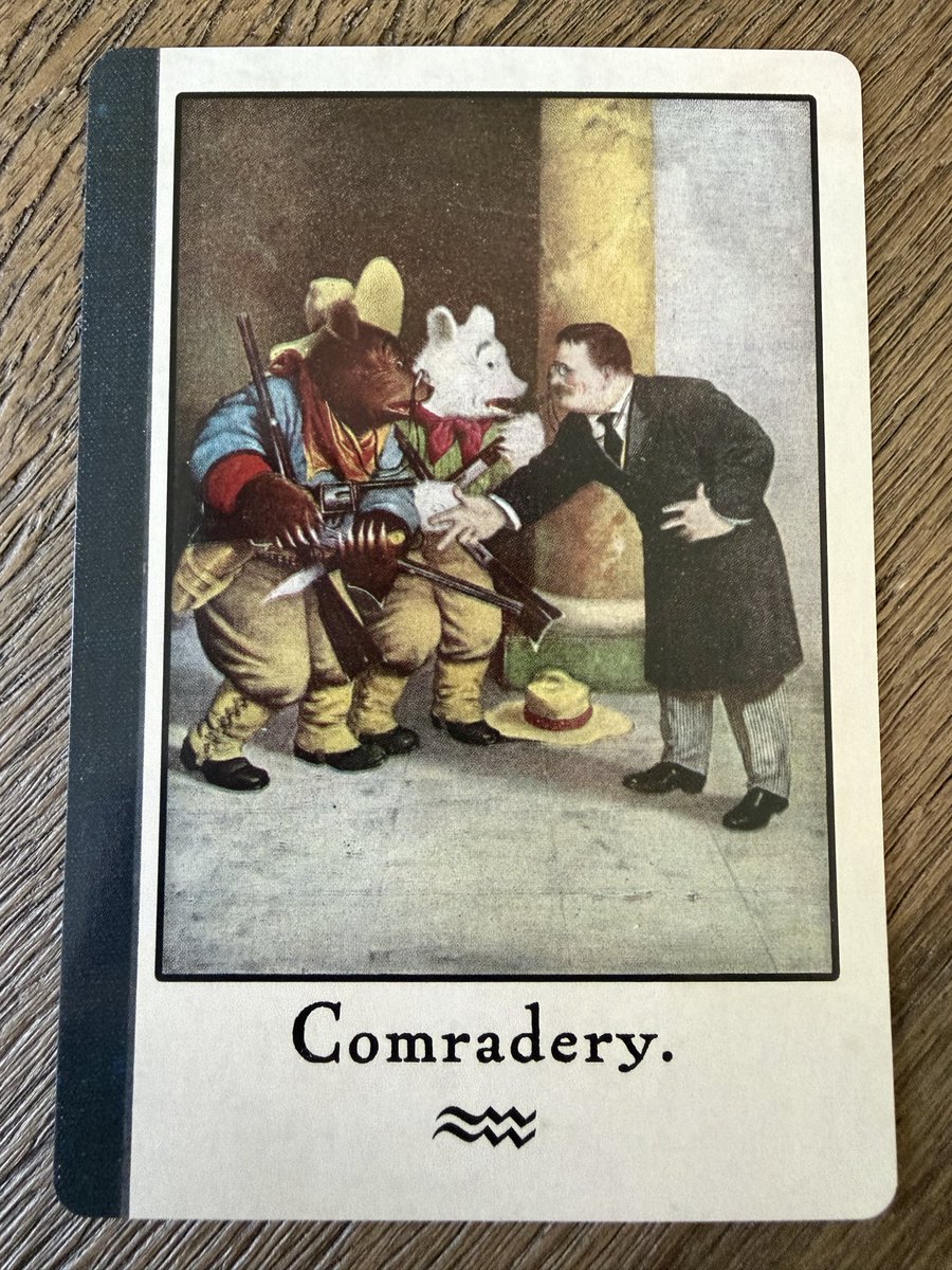 NotFinancialAdvice.Crypto tweet media