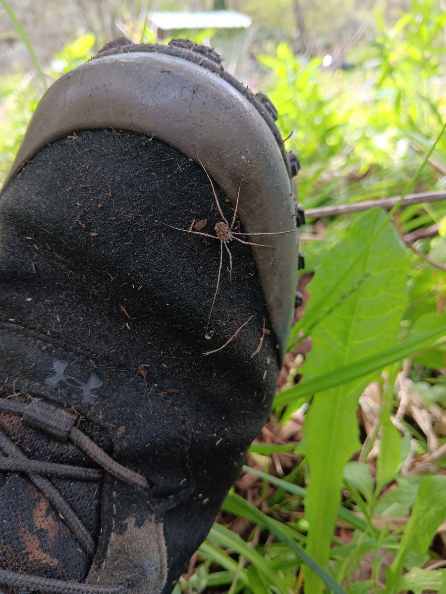 Dr. Greenthumb tweet media