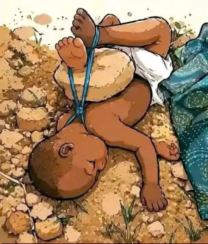 Zoom Afrika tweet media