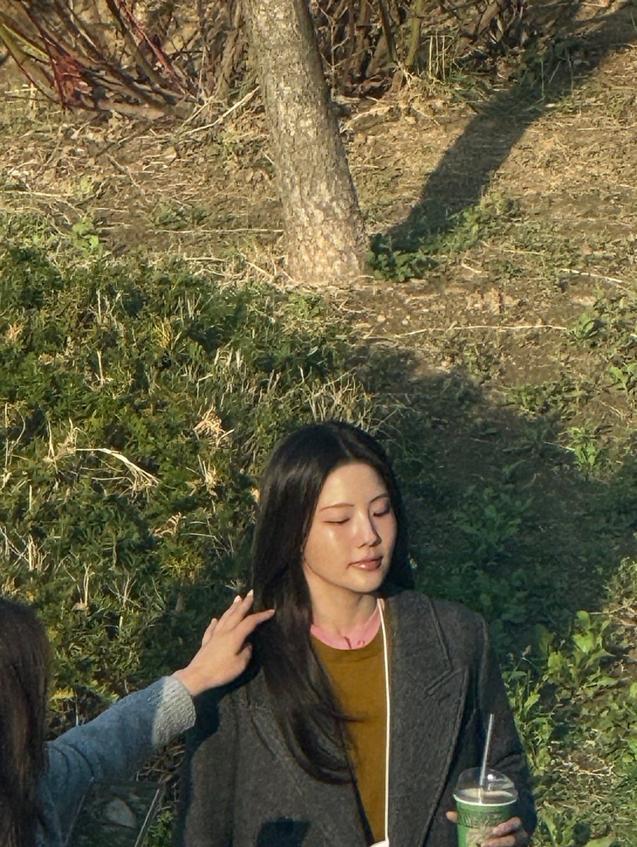 다나 tweet media