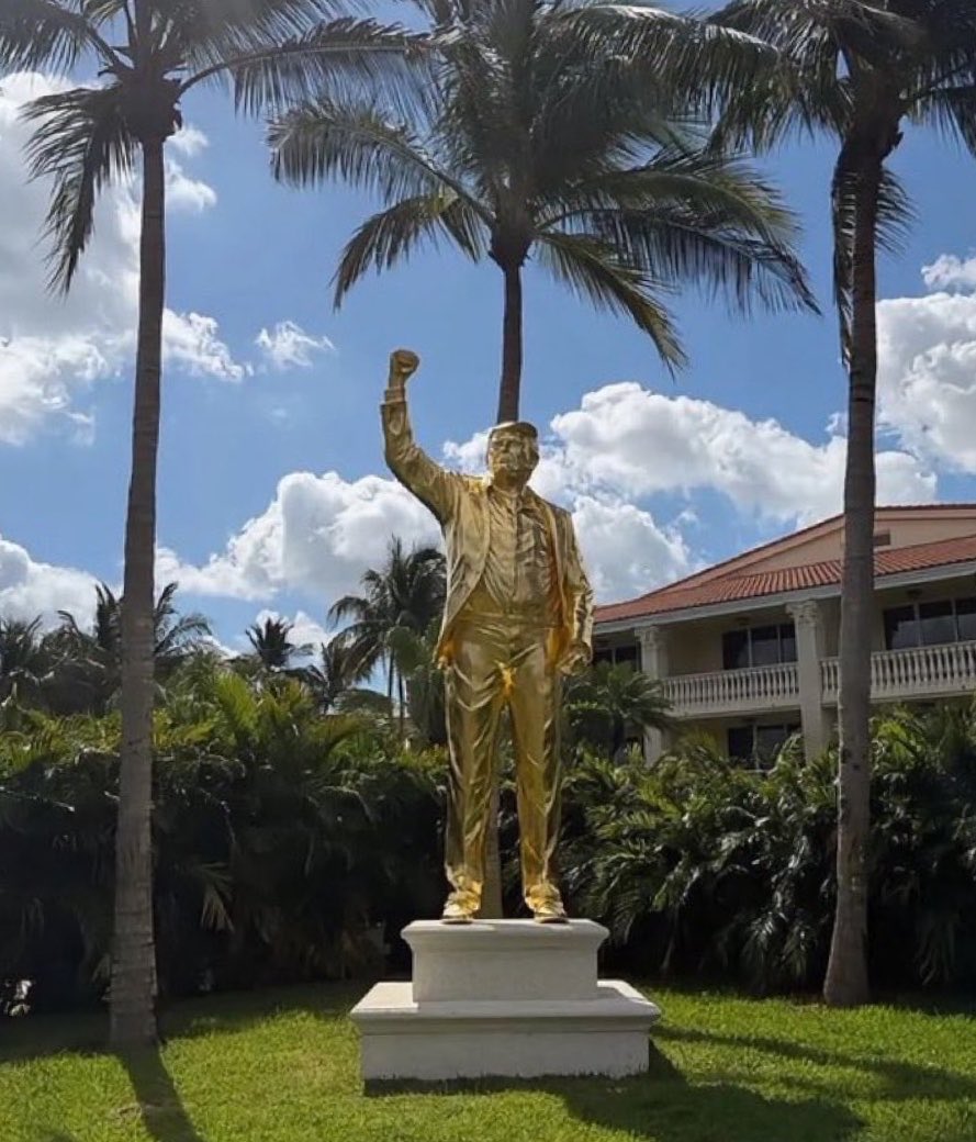 Trumps Nephew tweet media