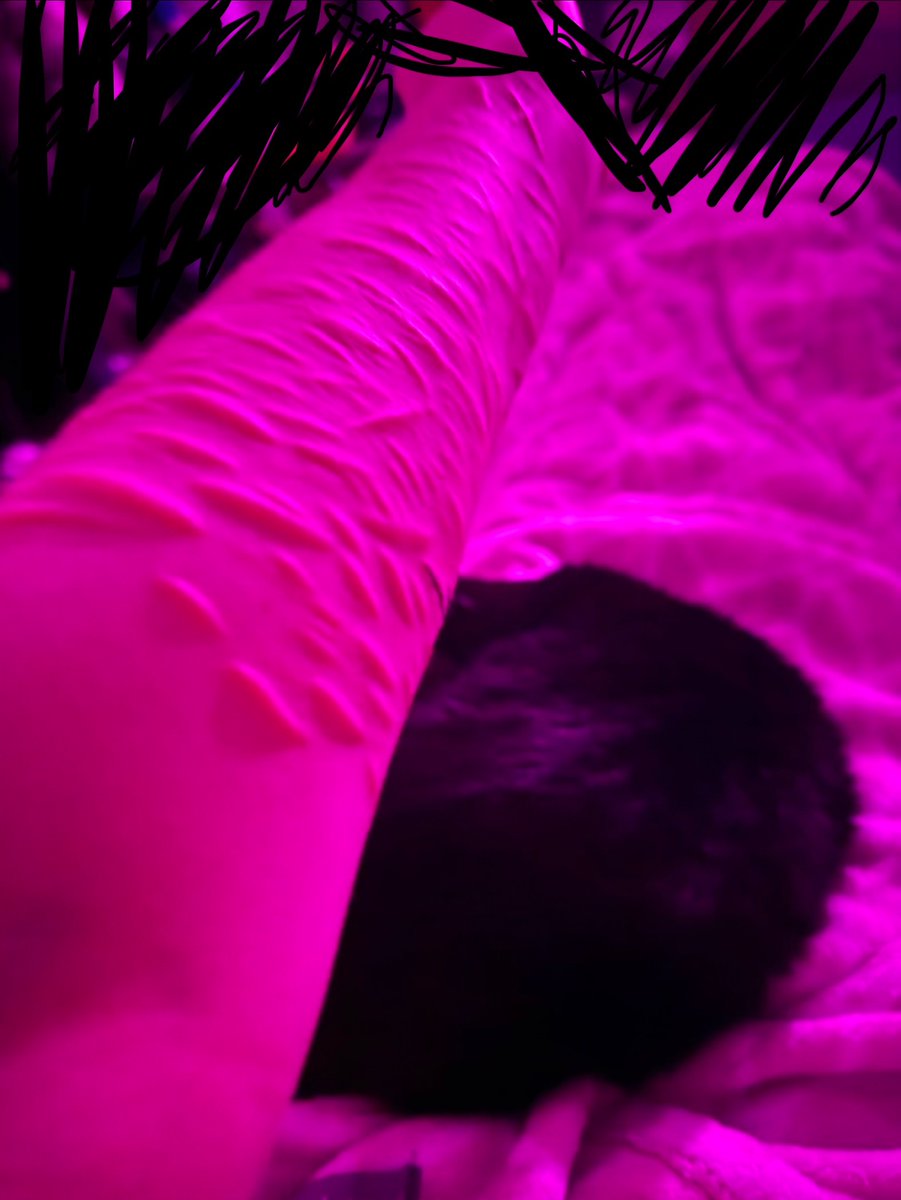 ⋆✩x.c:-p✩⋆ tweet media