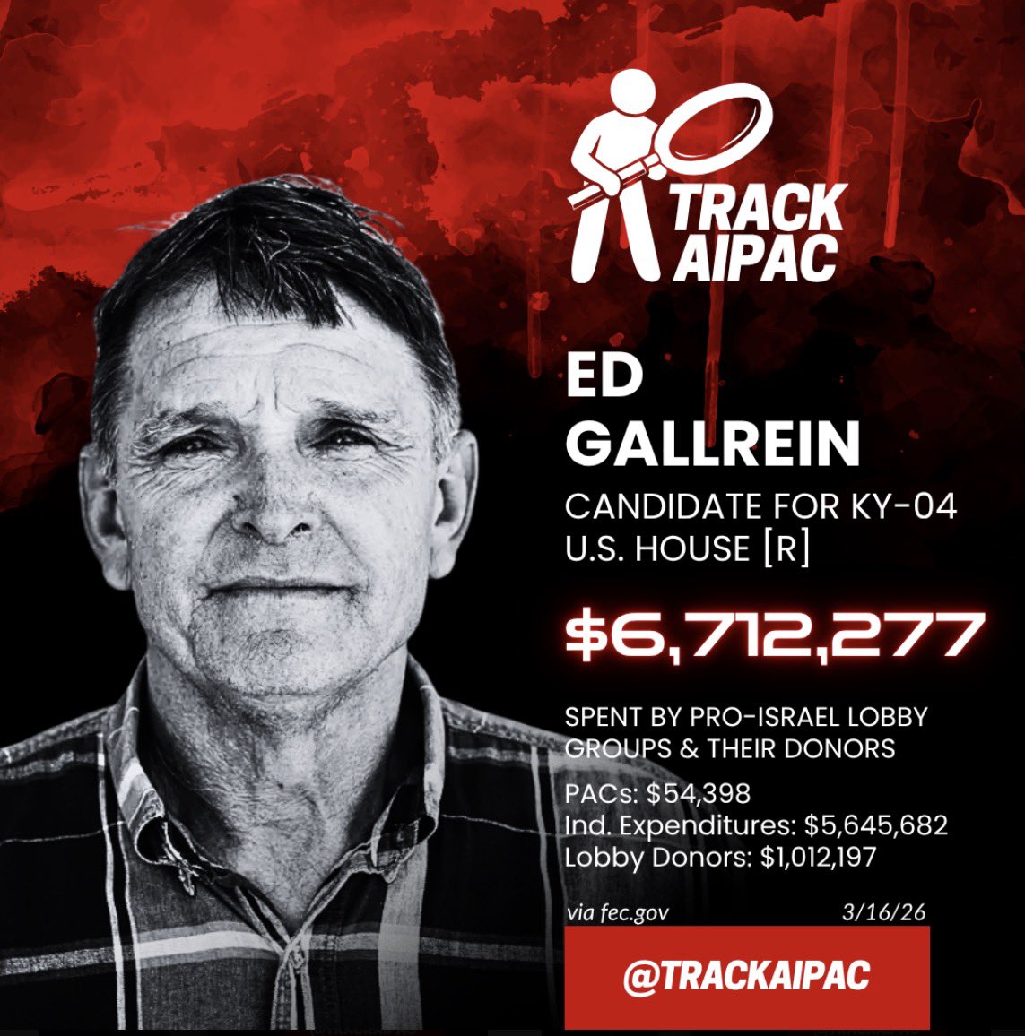 Sunset Gator tweet media