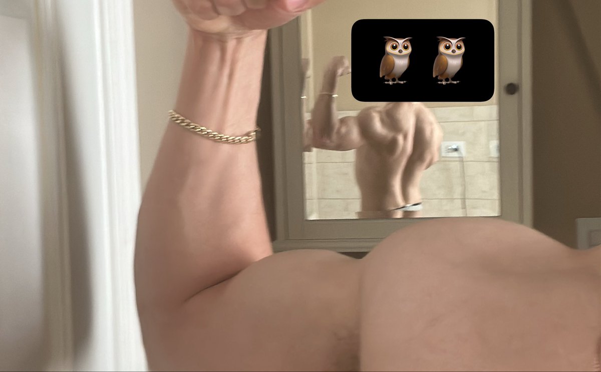 alex 🦉 tweet media