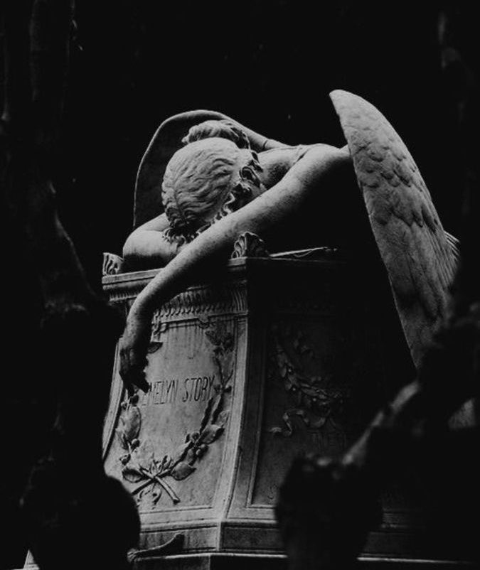 Rio🦴⋆🐾°ᶻ 𝗓 𐰁 || shtwt || tweet media