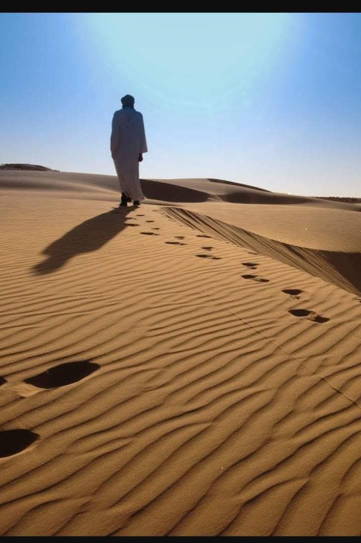 صلاح الصياح tweet media