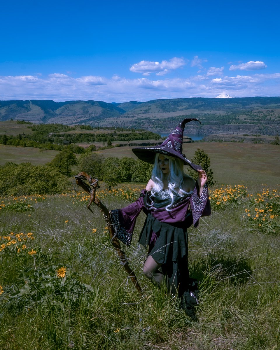 瑜軒 Yuyu 🌻 tweet media