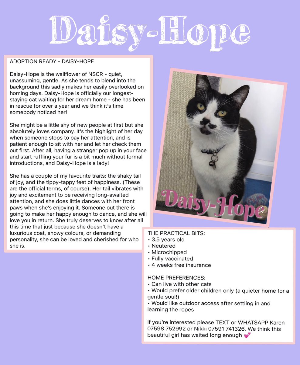 New Start Cat Rescue🐾💜🐾 tweet media