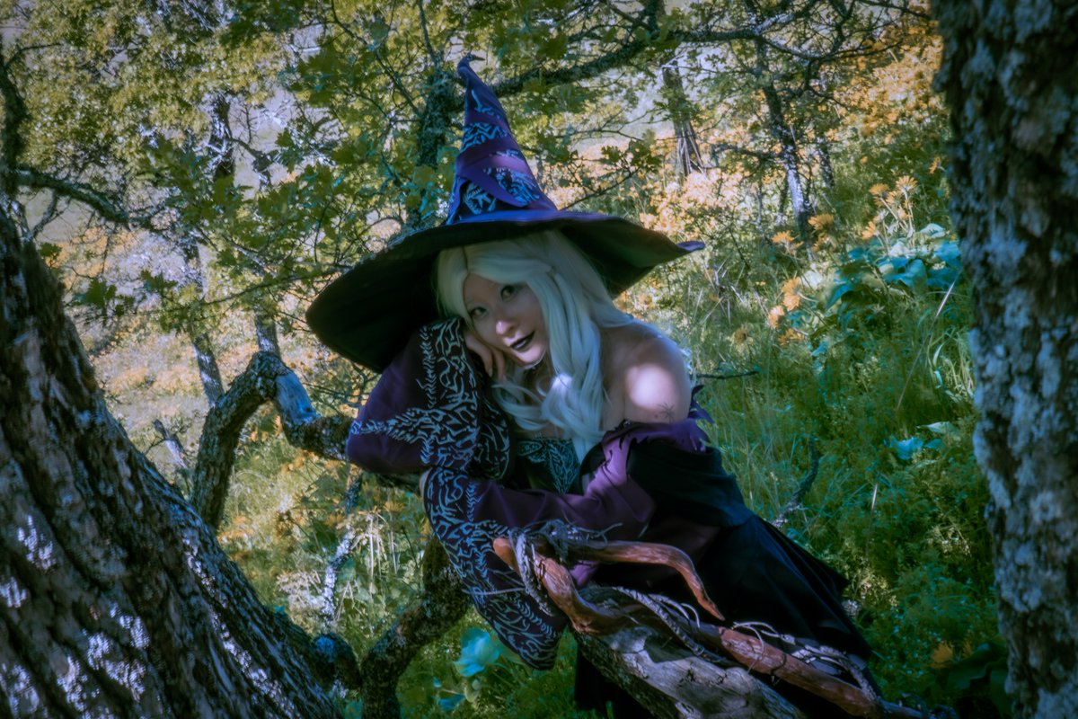 瑜軒 Yuyu 🌻 tweet media