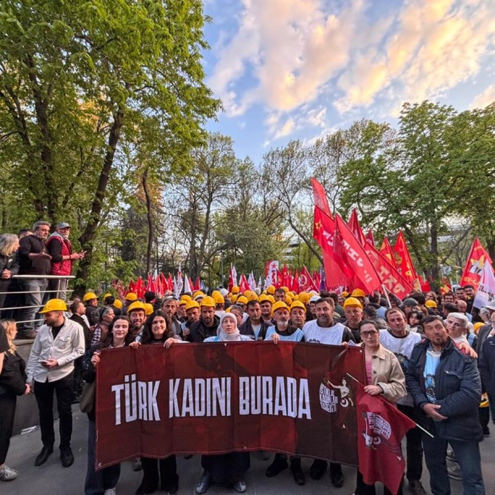 Gökçe Katun tweet media