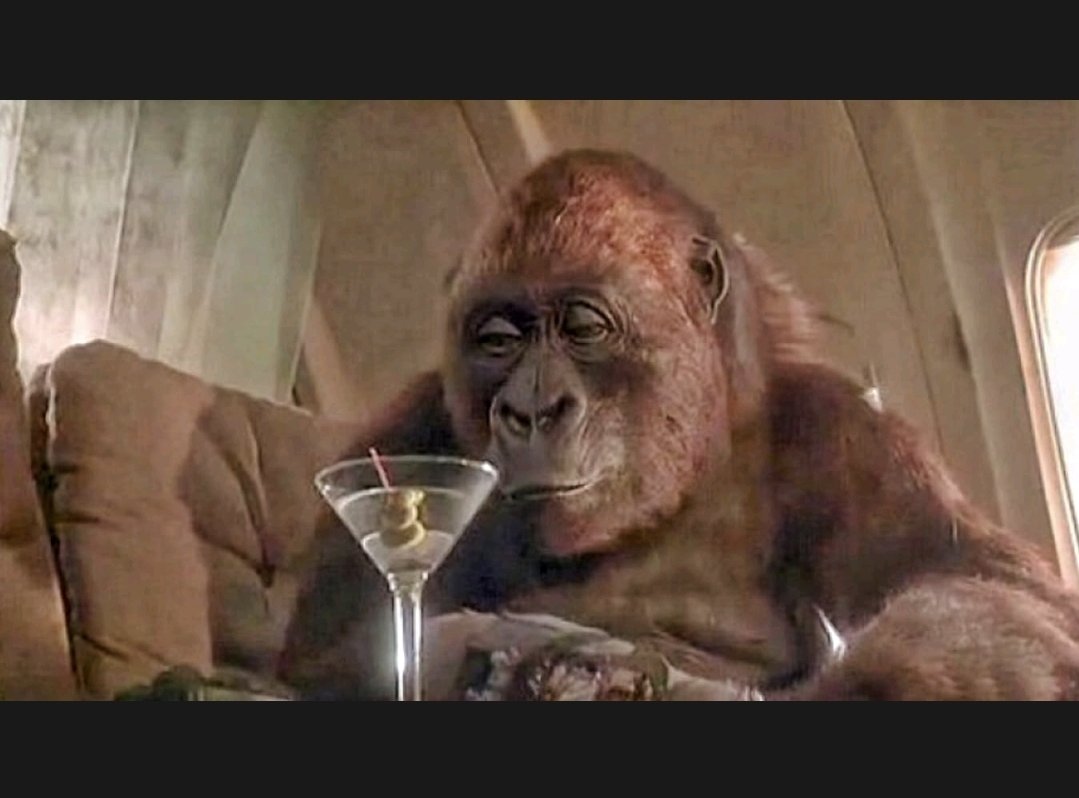 BadMovieCult's tweet image. If you are part of our Patreon, you can hear our new episode RIGHT NOW!

We cover a 90s blockbuster &amp;amp; revisit the theme of Ape-ril

Join us for Early Access (Regular release Thursday), exclusive eps with film pitches, mini eps, polls &amp;amp; more

Patreon.com/badmoviecult

#moviepodcast
