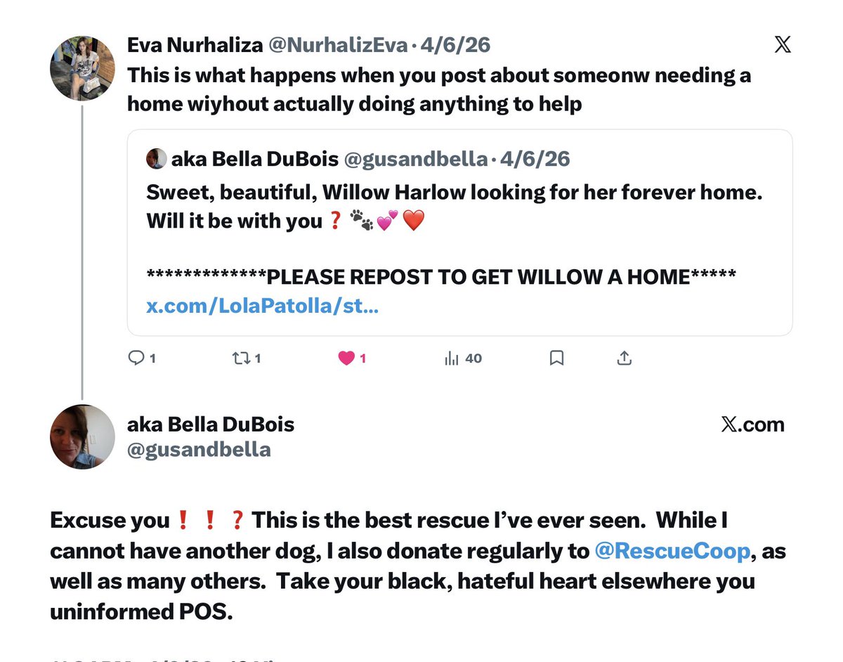 aka Bella DuBois tweet media