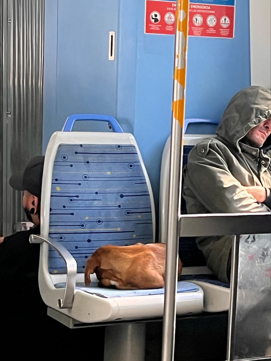 valentina tweet media