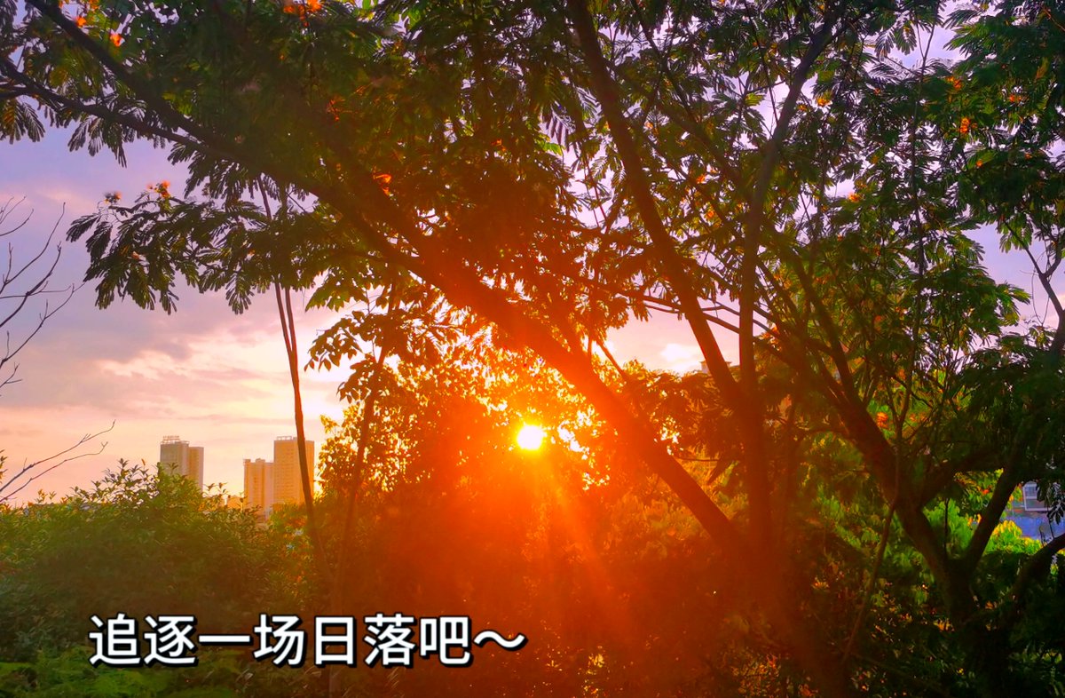 Prince of stride tweet media