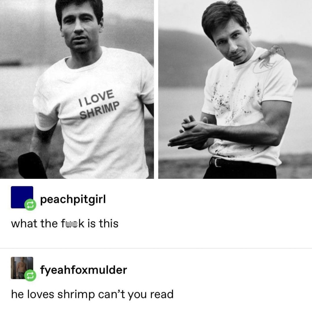 The truth is out there. The shrimp is right here.
