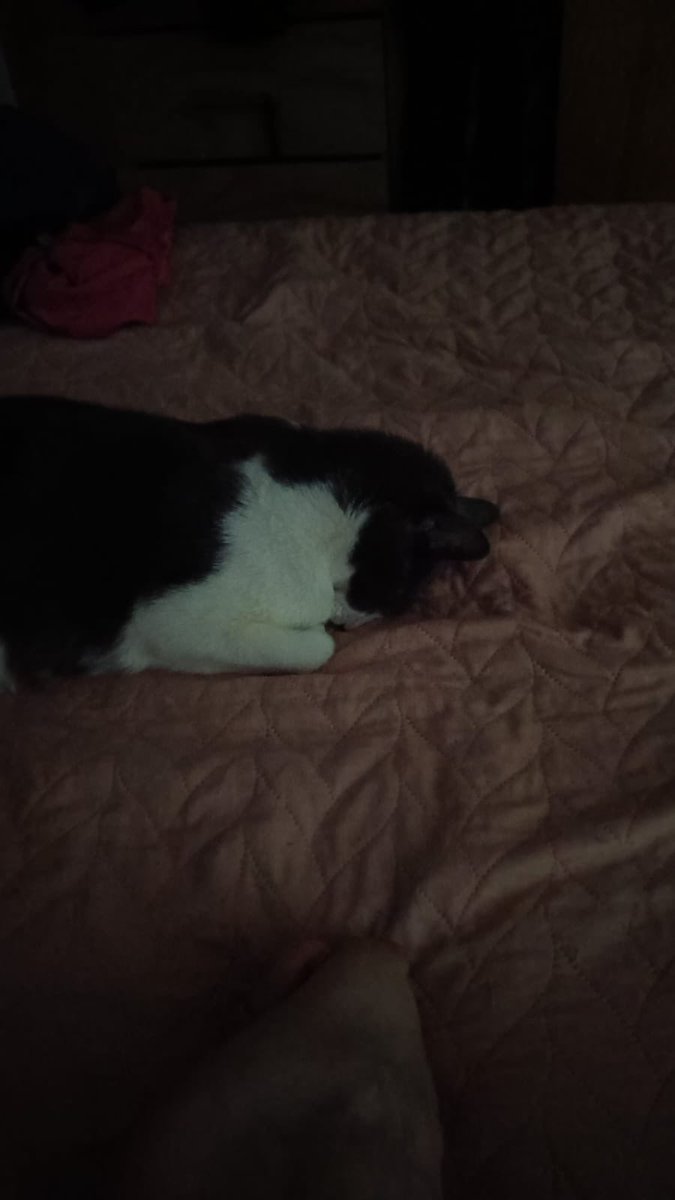 adcerdi's tweet photo. El chat familiar está lleno de fotos como estas: https://t.co/RE442waVyJ