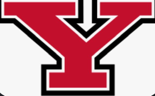 isaiahhoopx's tweet image. Thanks to the staff of @YSUMensHoops for a personal invitation to their camp this summer!! Looking forward to being there! 

 #GoGuins | @RichWha @Coach_AJohnson @mosesk225 @CoachFaulkner1 @YSUCoachEv @JackPepperney @GASOLyndon