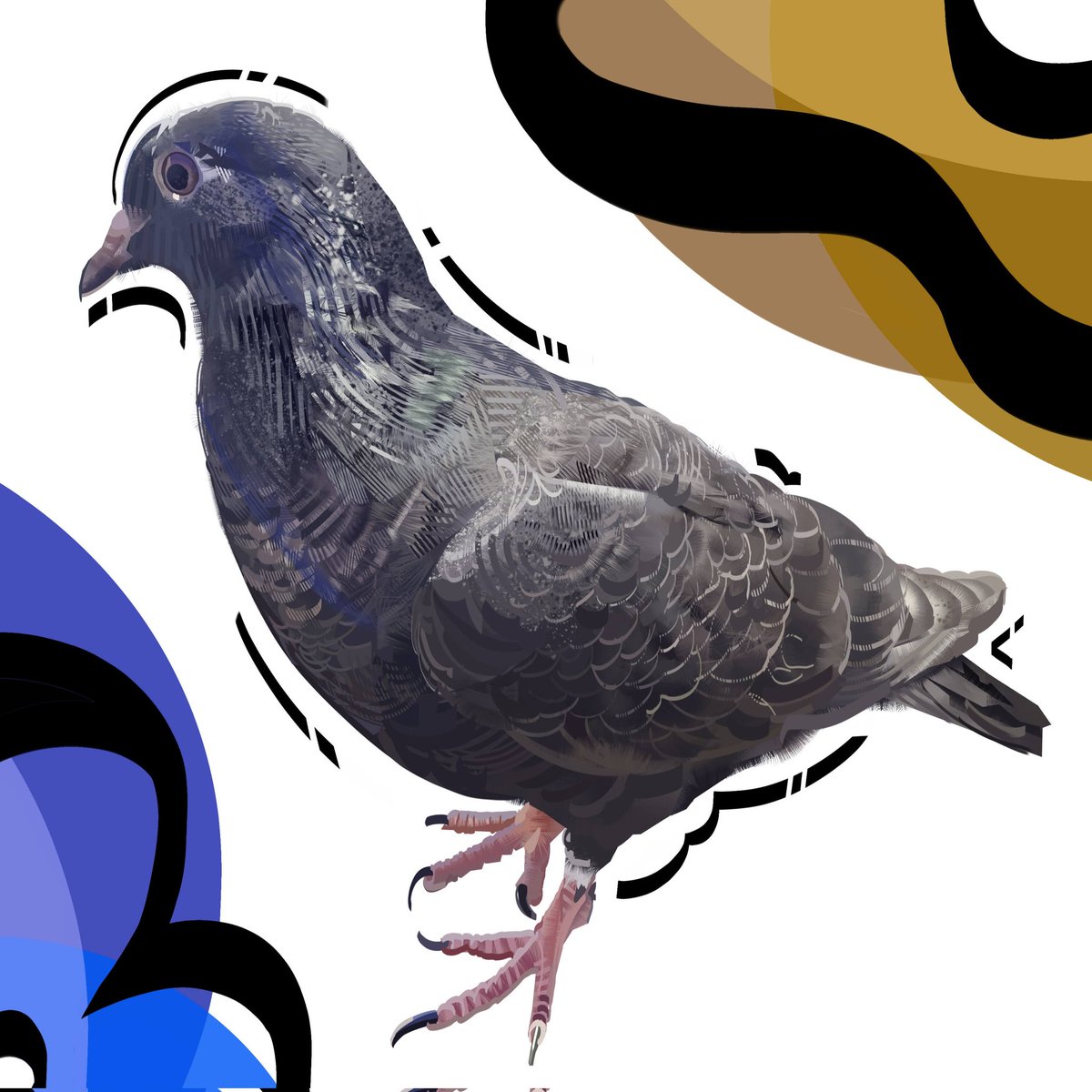 Natari Hato🪽📦 tweet media