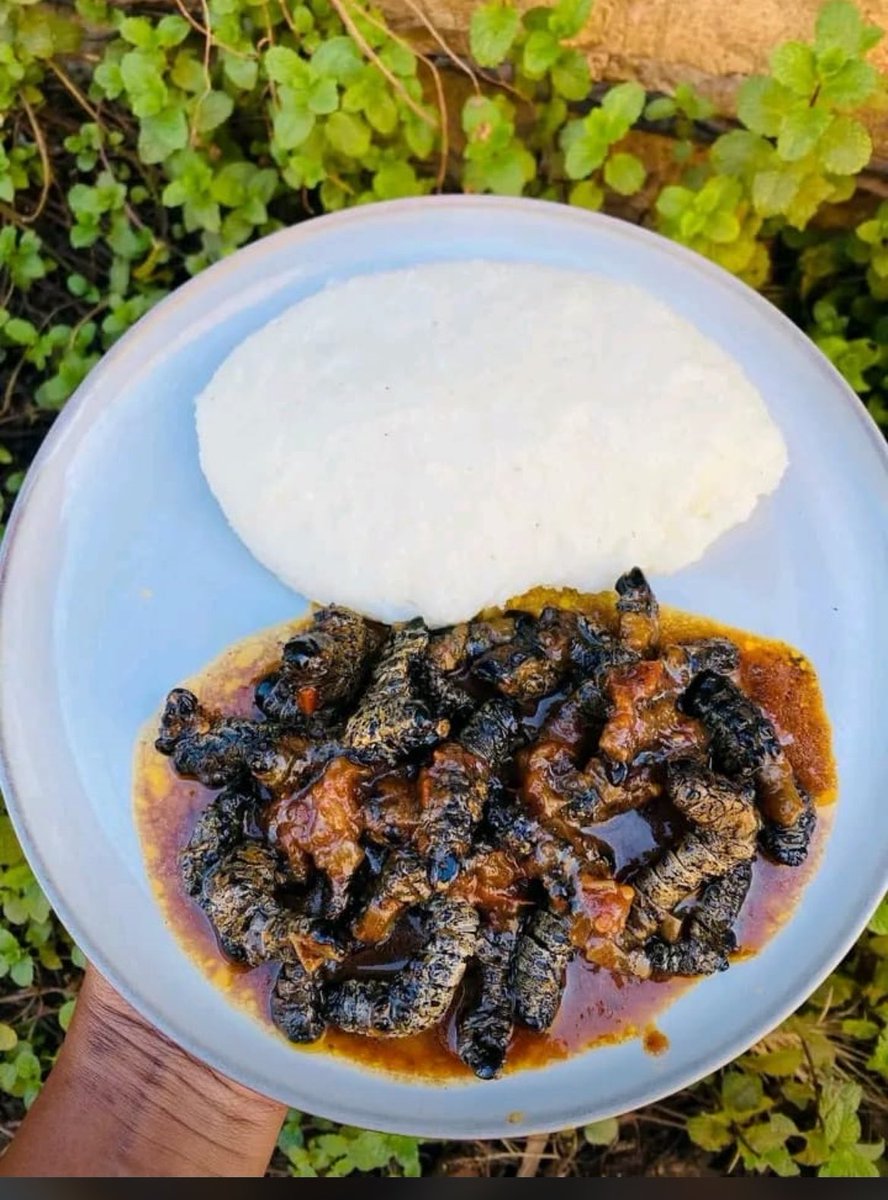 Minister of Small Acoounts tweet media