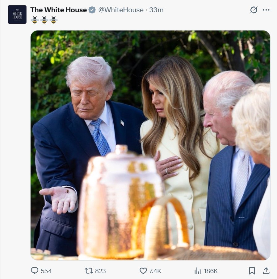 Jeff tweet media