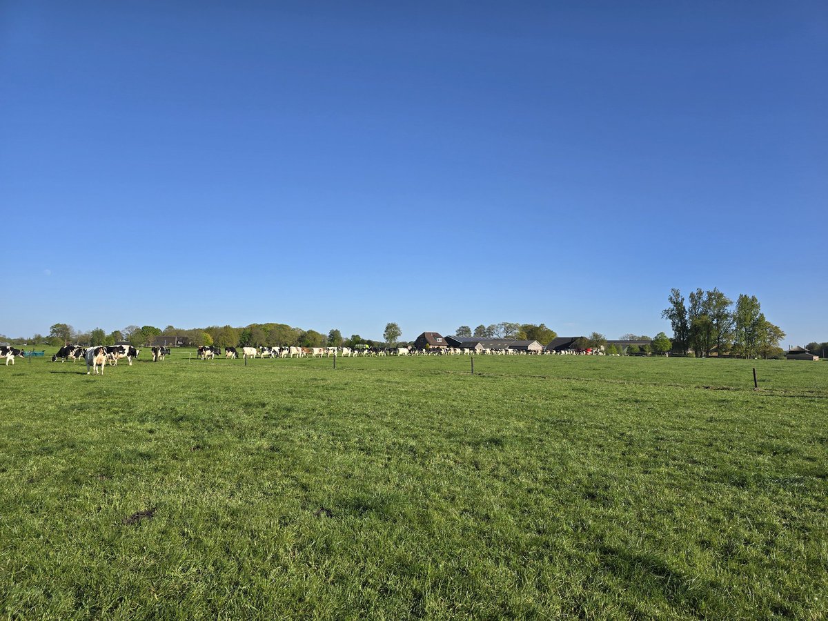 SchonevMarian's tweet photo. Even het hoofd leegmaken na een dag achter het bureau💚🍀 #genieten #farmerswife  #nofarmersnofood https://t.co/k2OMrRo6mq