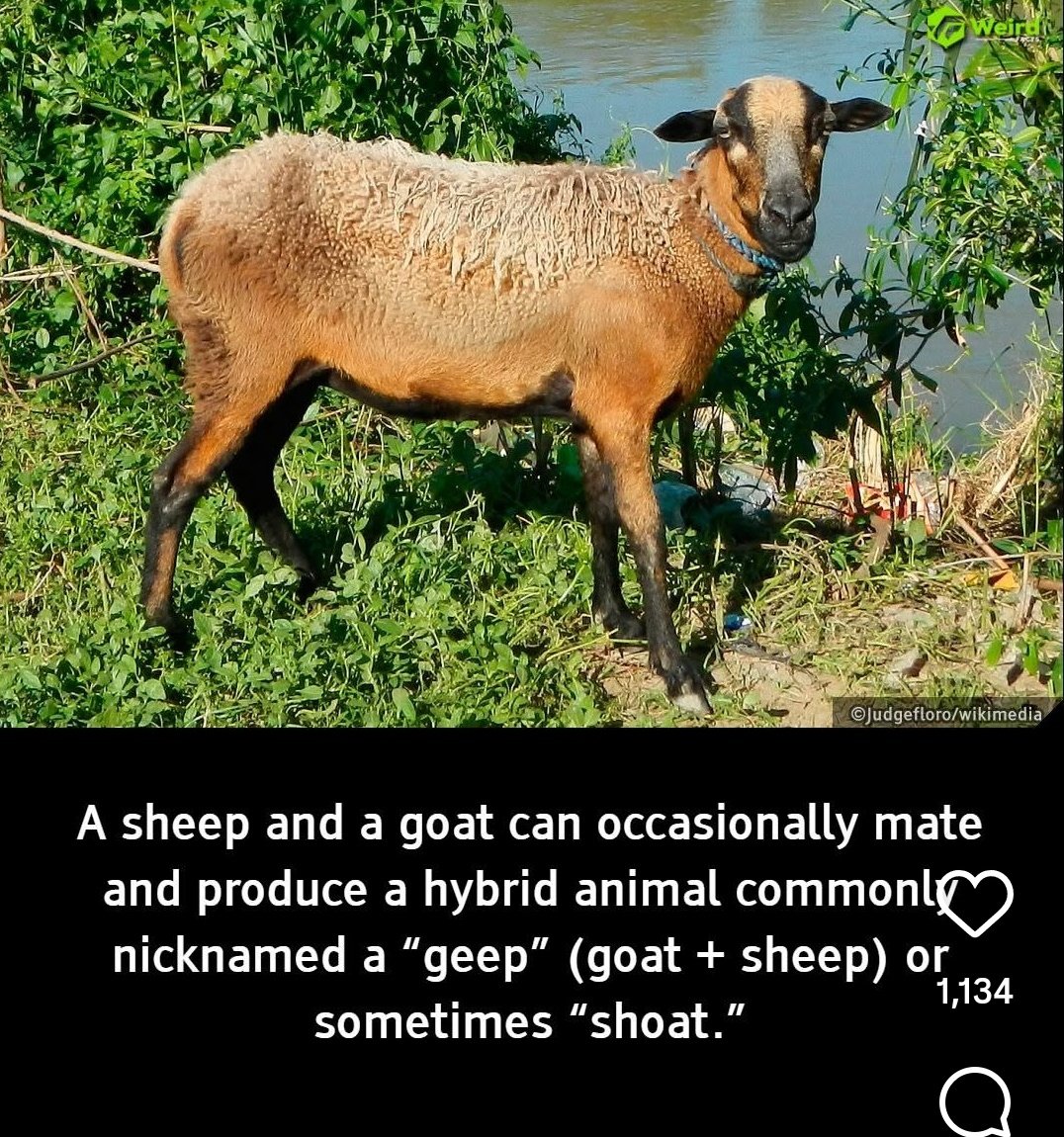 Tim Copeland tweet media