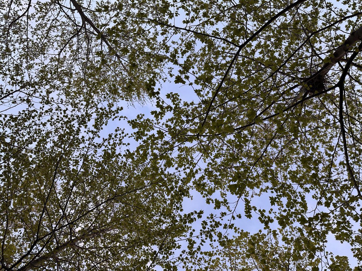 nykphn's tweet photo. Her fırsatta yürüyüşe çıkılan günler 💚 https://t.co/JDGOEeejXR