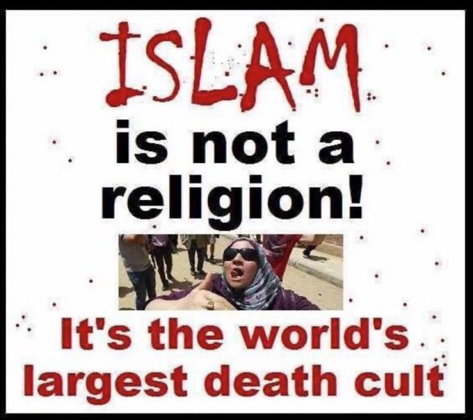 RichieD1952 tweet media