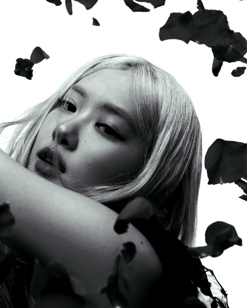 ⊹.✶Ꮺ tweet media