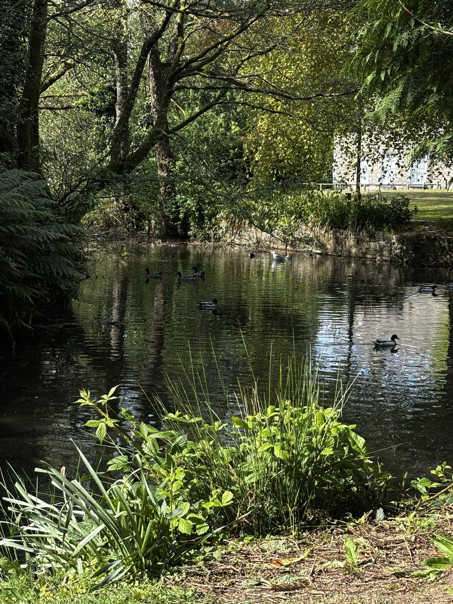 vamp ♡ tweet media