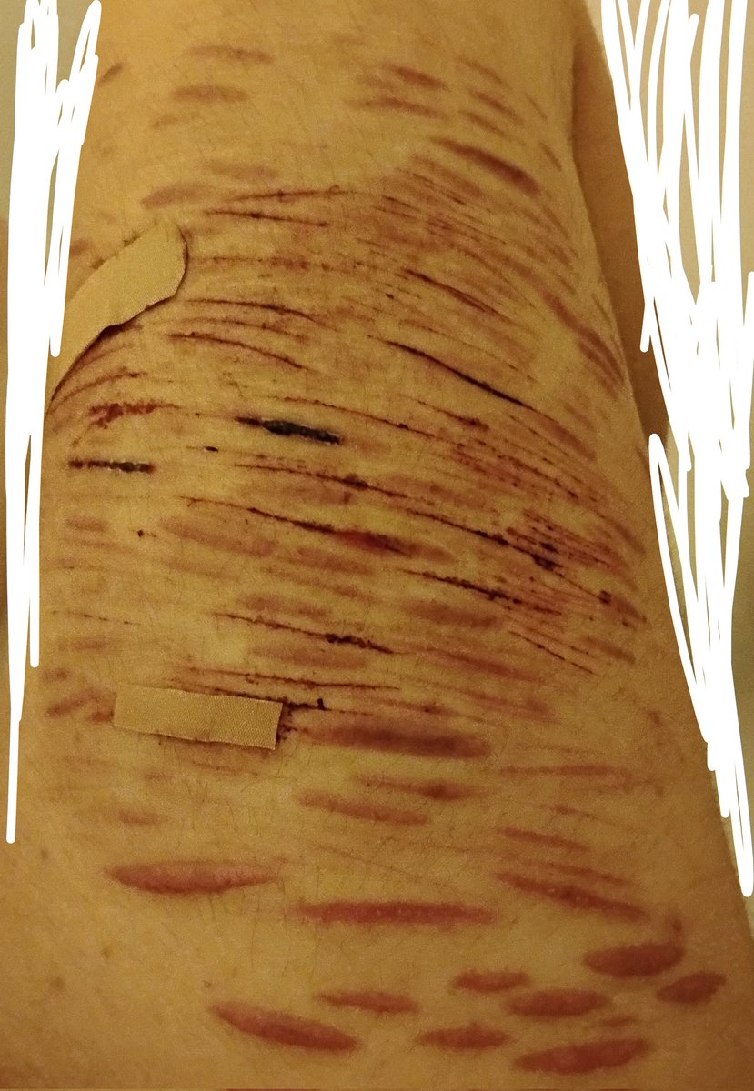 🌸 rayylyn 📚 tweet media