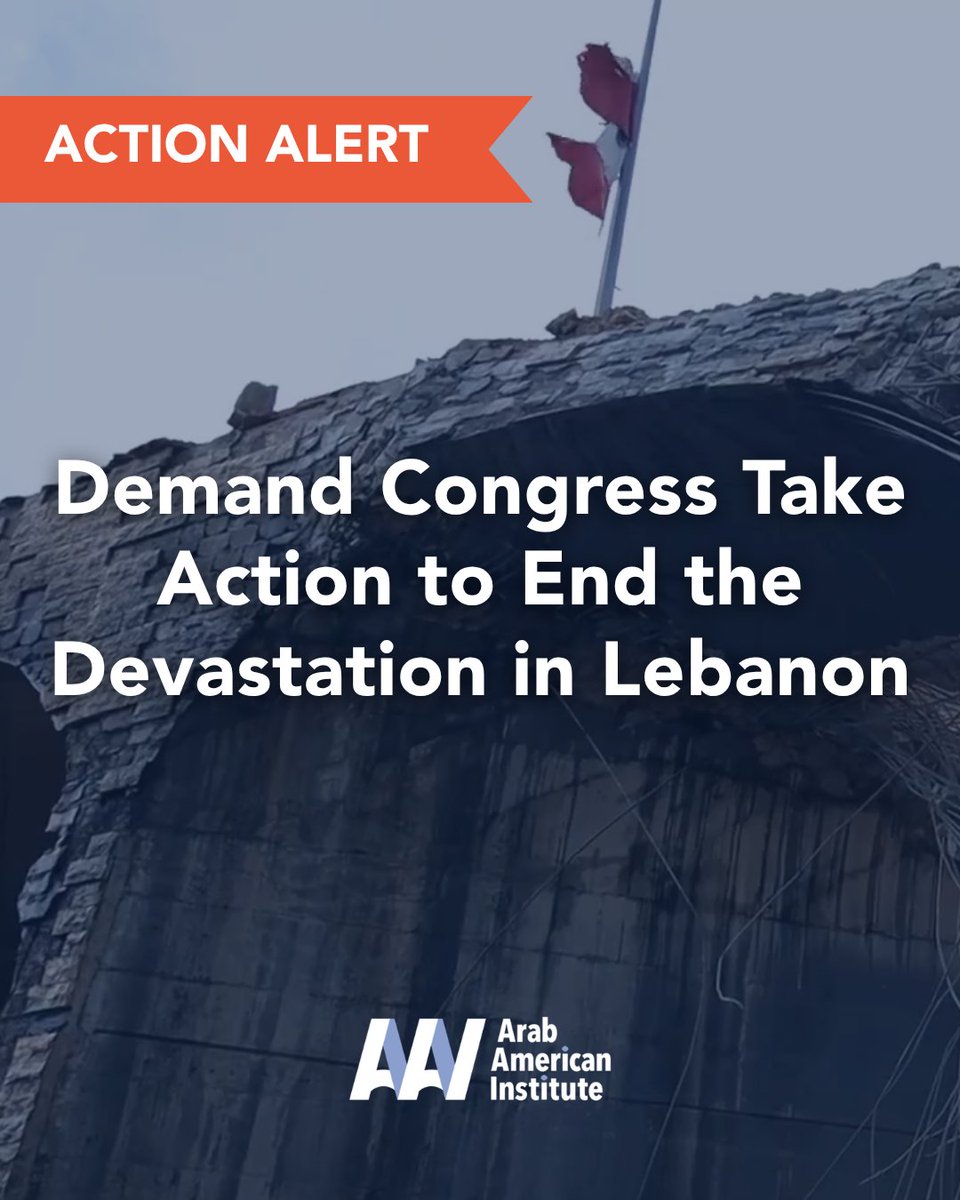 AAIUSA's tweet photo. Congress must take action to end the devastation in Lebanon. Please take a few minutes to write to your member of Congress today and demand: (1/4) https://t.co/P7lEiGPMqY https://t.co/HRJ4IEKNB3