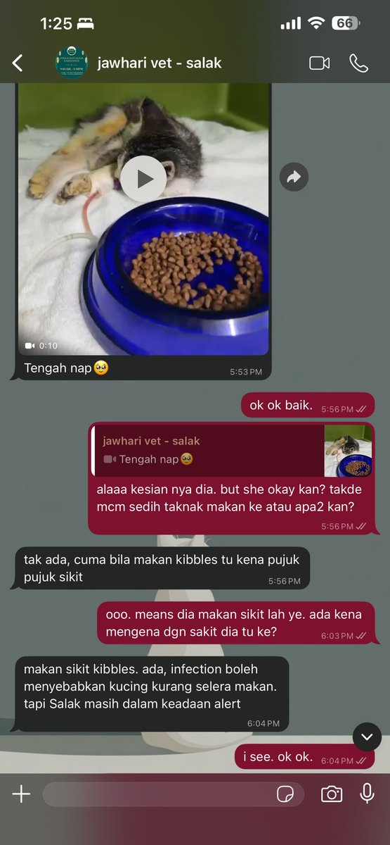 Dila jual sagu tweet media