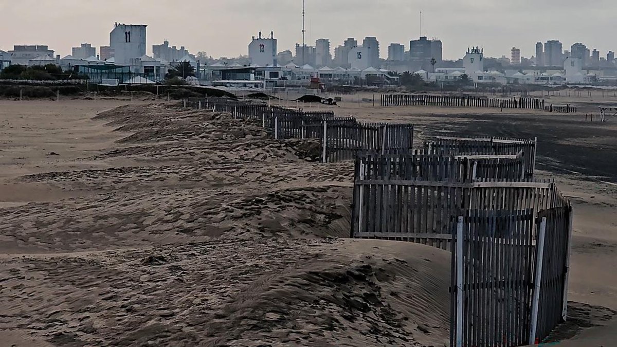 Agustin Neme tweet media