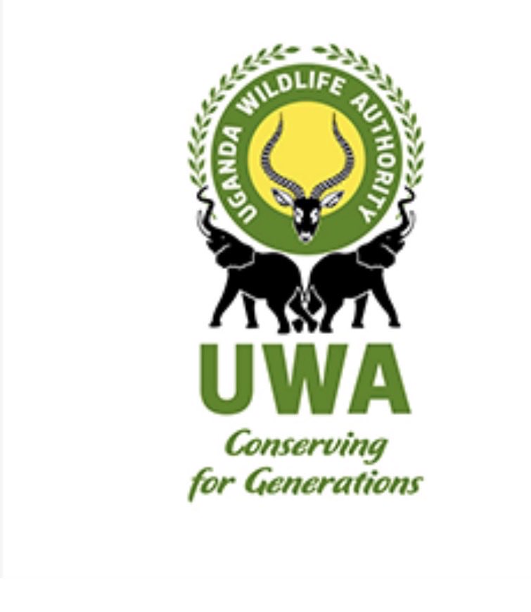 halsonbusinge's tweet image. Wildlife powers Uganda’s tourism &amp;amp; economy.
With the new State of Wildlife Report out, what should government prioritise next?
Protection, community benefits, or tourism growth? Quote with your thoughts 👇 #Uganda #Wildlife