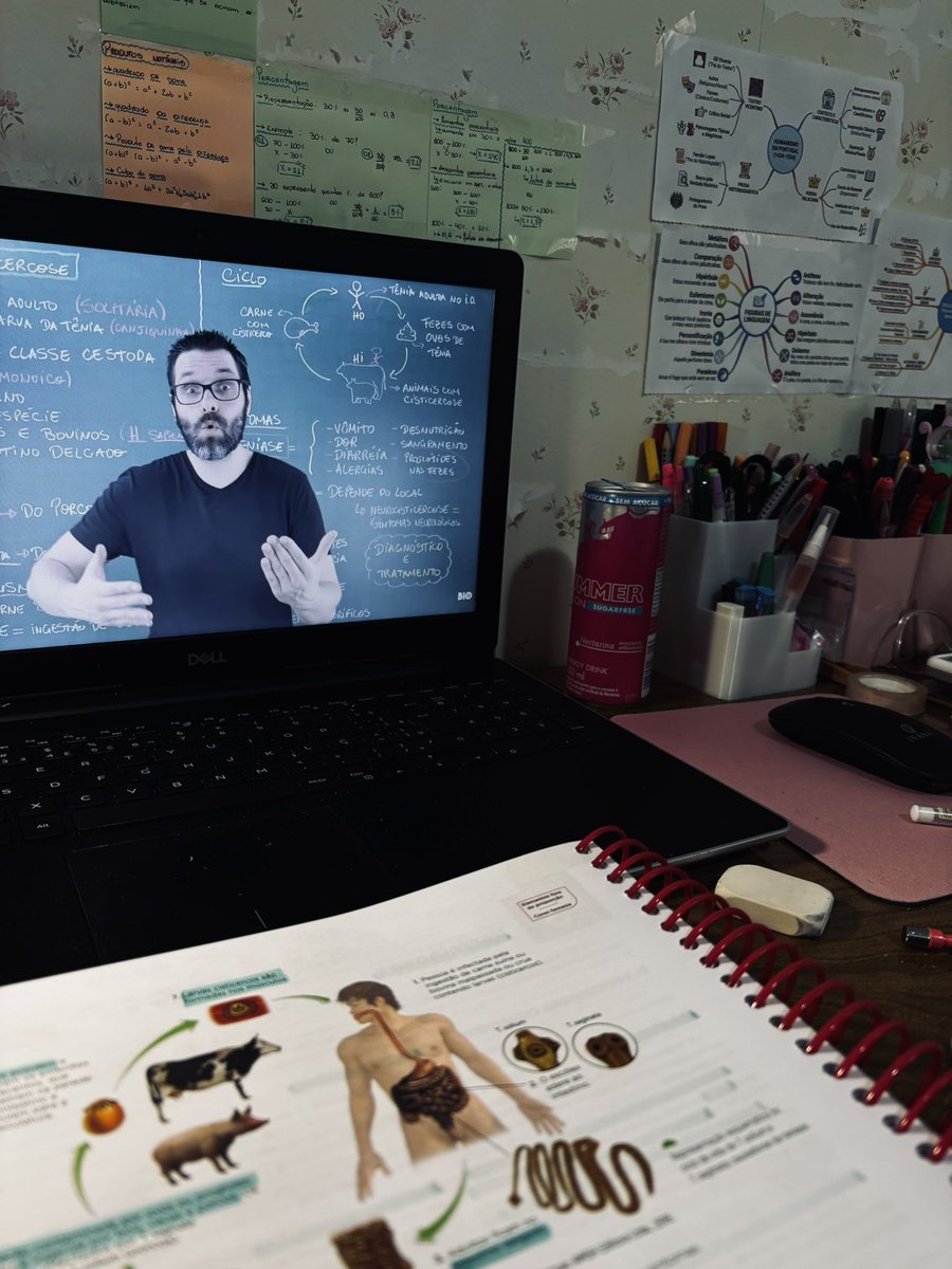 naju 🔬 tweet media