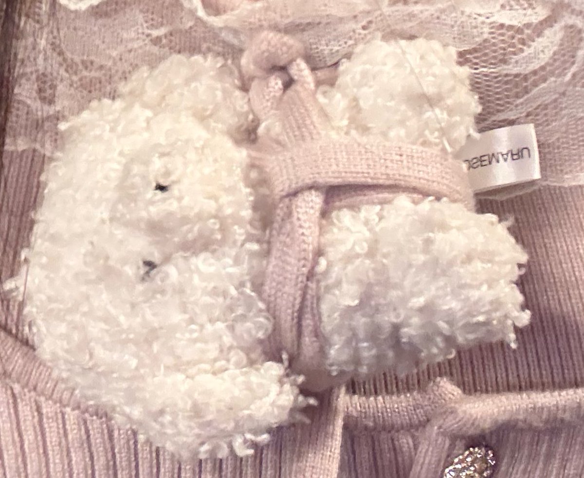 虐待イヌ⊆＾U)┬┬ﾉ~