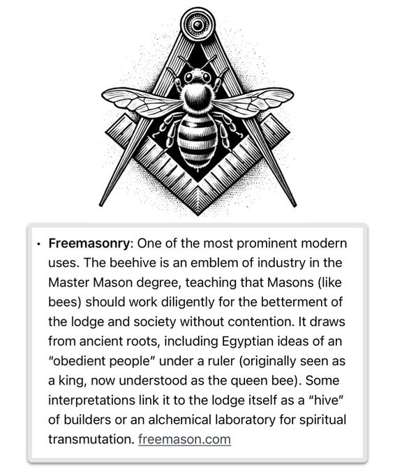 AwakenedOutlaw⚒️ tweet media