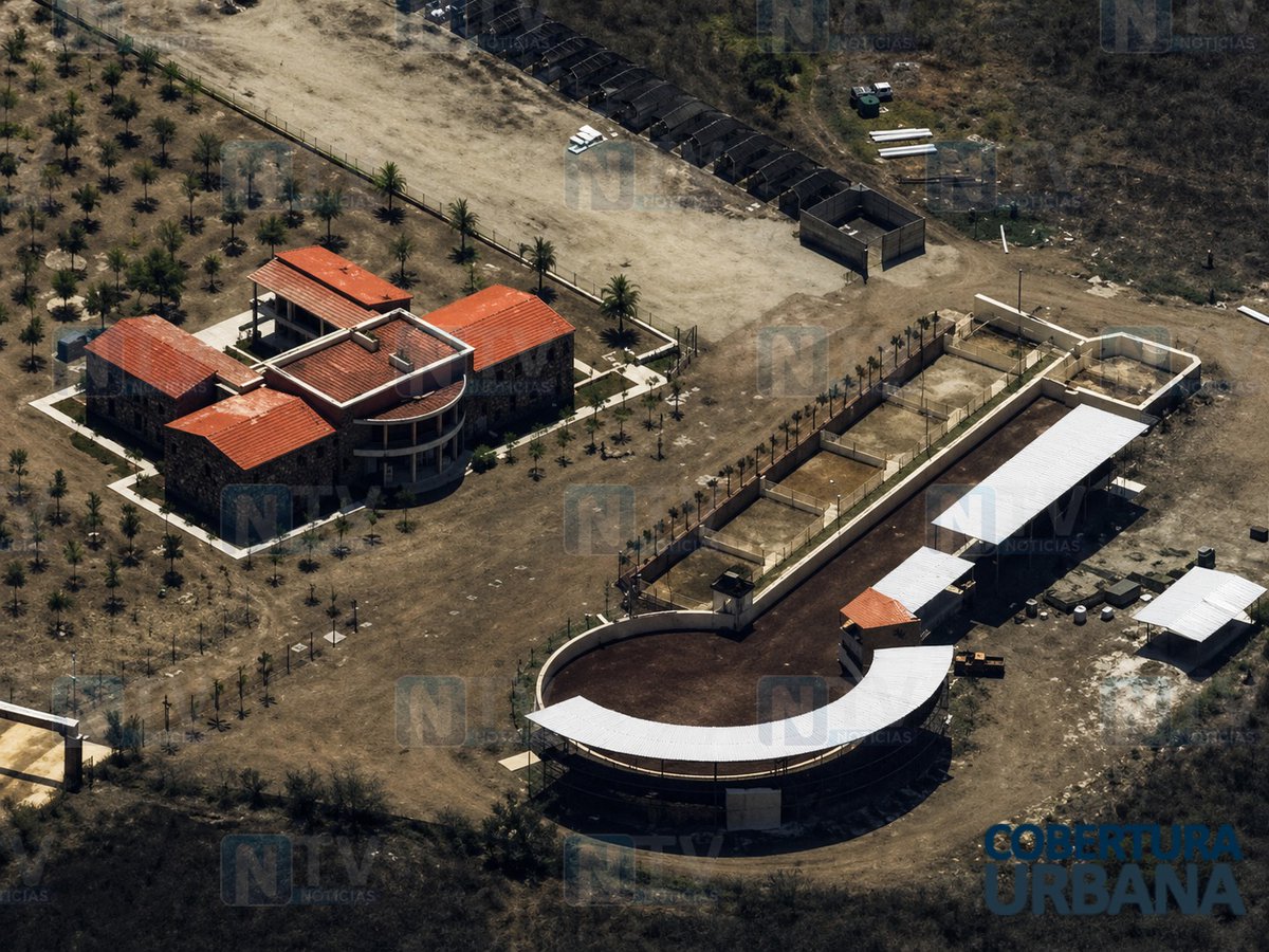 Tattaglia® 🇲🇽🇪🇸 tweet media