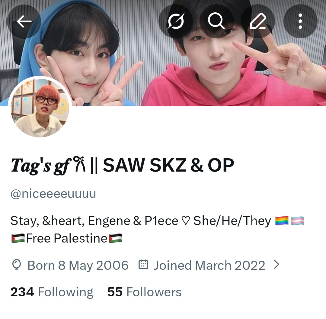 𝑻𝒂𝒈'𝒔 𝒈𝒇 𐙚 || SAW SKZ & OP tweet media