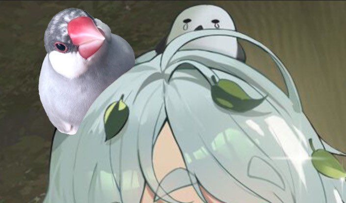 おかぴー指揮官@Nikke tweet media